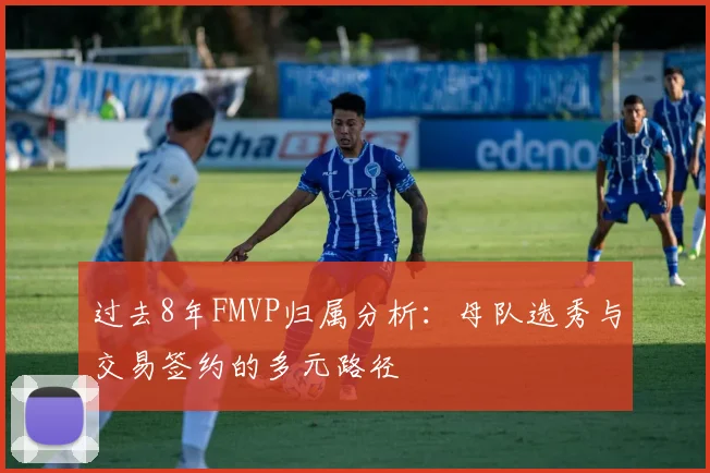 过去8年FMVP归属分析：母队选秀与交易签约的多元路径