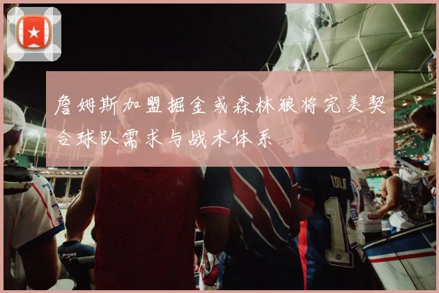 詹姆斯加盟掘金或森林狼将完美契合球队需求与战术体系