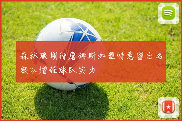 森林狼期待詹姆斯加盟特意留出名额以增强球队实力