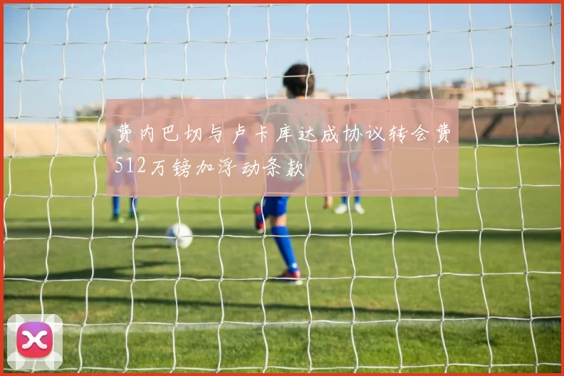 费内巴切与卢卡库达成协议转会费512万镑加浮动条款