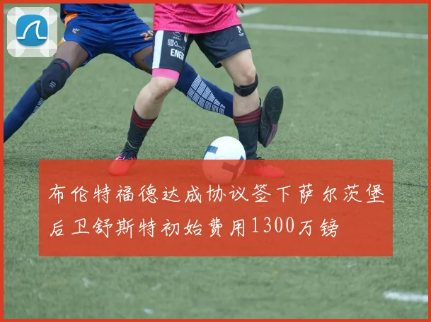 布伦特福德达成协议签下萨尔茨堡后卫舒斯特初始费用1300万镑
