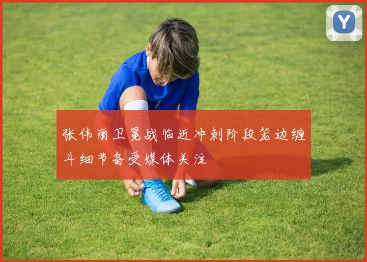 张伟丽卫冕战临近冲刺阶段笼边缠斗细节备受媒体关注